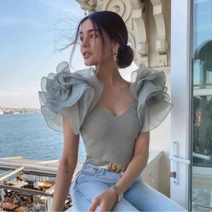 Zara ruffled organza sleeves crop top